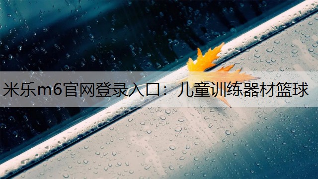 米乐m6官网登录入口：儿童训练器材篮球