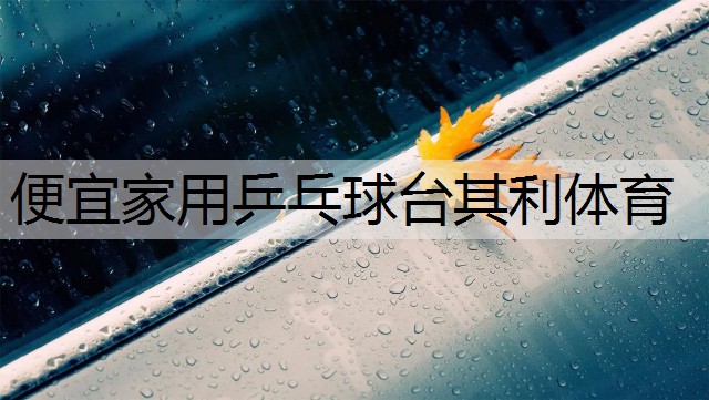 <strong>便宜家用乒乓球台其利体育</strong>