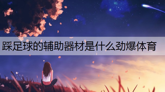 <strong>踩足球的辅助器材是什么劲爆体育</strong>