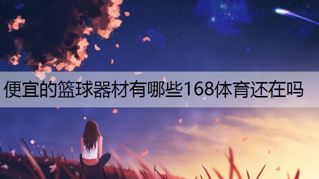 便宜的篮球器材有哪些168体育还在吗