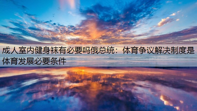 成人室内健身袜有必要吗俄总统：体育争议解决制度是体育发展必要条件