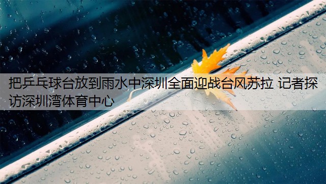 <strong>把乒乓球台放到雨水中深圳全面迎战台风苏拉 记者探访深圳湾体育中心</strong>