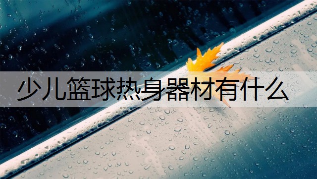 <strong>少儿篮球热身器材有什么</strong>