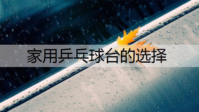 <strong>家用乒乓球台的选择</strong>