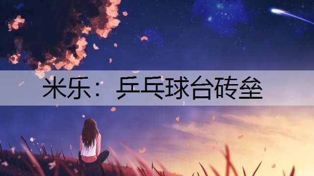 乒乓球台砖垒