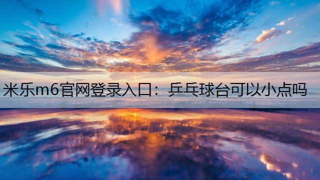 乒乓球台可以小点吗