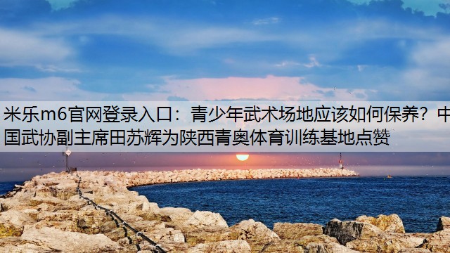 青少年武术场地应该如何保养？中国武协副主席田苏辉为陕西青奥体育训练基地点赞