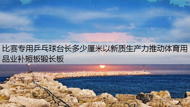 比赛专用乒乓球台长多少厘米以新质生产力推动体育用品业补短板锻长板