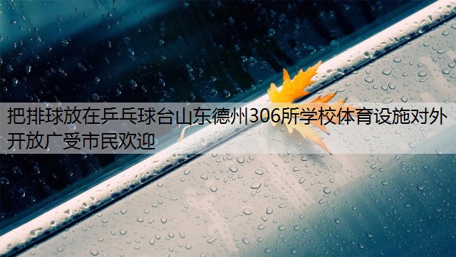 把排球放在乒乓球台山东德州306所学校体育设施对外开放广受市民欢迎