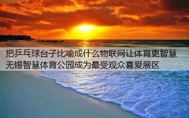 把乒乓球台子比喻成什么物联网让体育更智慧 无锡智慧体育公园成为最受观众喜爱展区